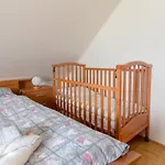 Apartment Jakovc *