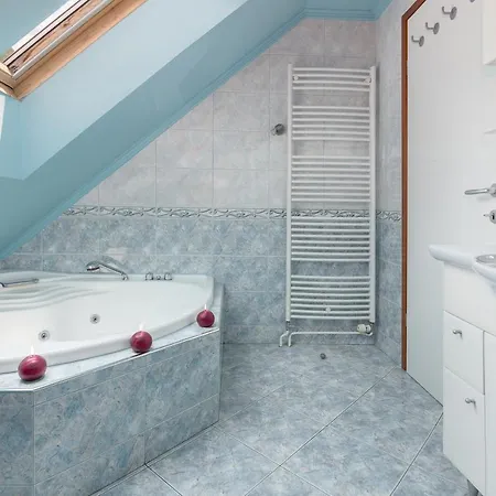 Jakovc 아파트 보히니