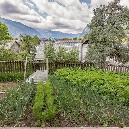 Jakovc Apartamento Bohinj