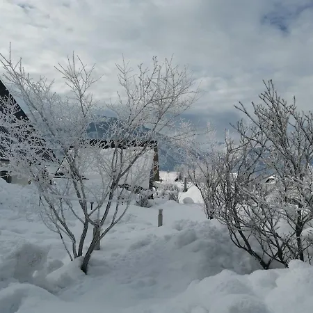 Jakovc 아파트 보히니